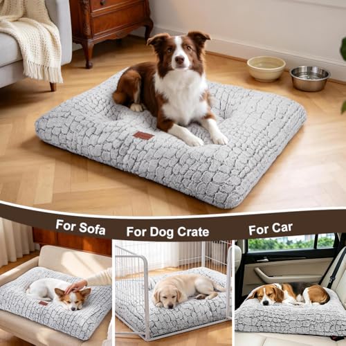 Dog Bed Crate Mat Plush Kennel Pad for Small to Large Dogs - Soft, Anti-Slip, Comfy - color: White, size: Large 36"x24"