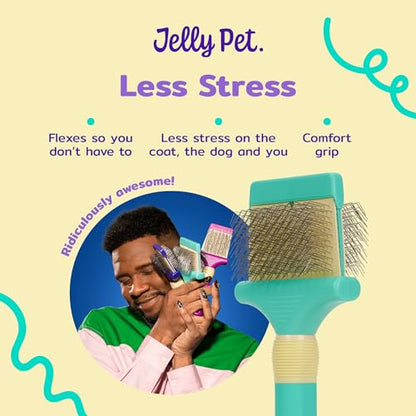 Jelly Pet Double Sided Dog Slicker Brush, Longer Pins, Flexible Head, Fine/Coarse Sides, Removes Unwanted Tangles, Large, Teal - size: Large