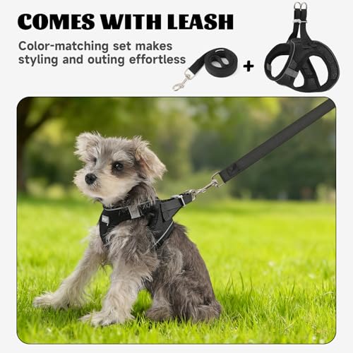 Dog Harness Small Sized and Leash Set, Step in Soft Light Puppy Vest, Breathable Mesh Pet Harness, Reflective for Safe Easy Walking. - color: Black, size: X-Small (Pack of 1)