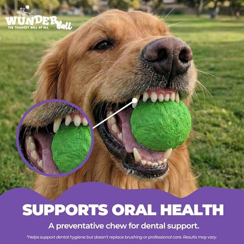 WACKYwalk'r WUNDERball Durable Dog Fetch Toy – Indestructible Natural Rubber Ball, Safer Than Tennis Balls, Floats for Indoor & Outdoor Play, Handmade in North America, Swirl Medium (up to 40 lbs.)