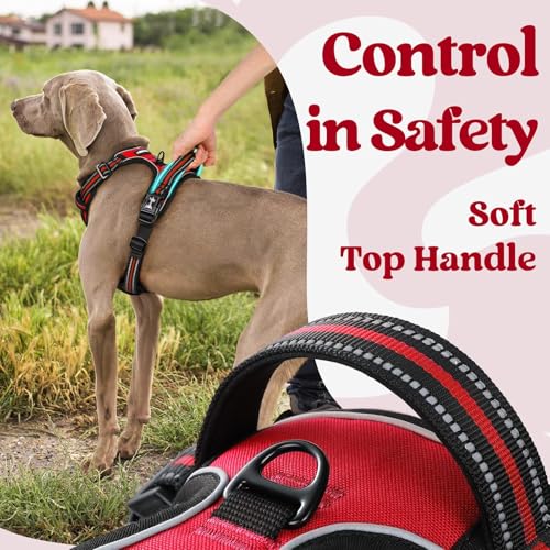 rabbitgoo Dog Harness Medium Sized, No Pull Pet Harness with 3 Buckles, Adjustable Soft Padded Vest with Control Handle, Walking Reflective Pet Vest for Medium Dogs, Red, M - color: Red, size: Medium