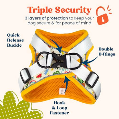 Step in XXS Dog Harness and Puppy Harness – No Pull No Choke Reflective Mesh Vest with Front & Back Clips for Tiny Small Breed Dogs (Modern Dog, XXS) - color: Modern Dog, size: XXS