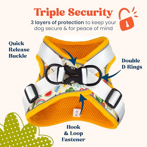 Step in Small Dog Harness and Puppy Harness – No Pull No Choke Reflective Mesh Vest with Front & Back Clips for Tiny XXS and Extra Small Dogs (Modern Dog, XXXS) - color: Modern Dog, size: XXXS