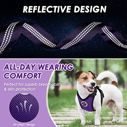 Lukovee Dog Car Harness Seat Belt, Adjustable Mesh Breathable Vest with Elastic Bungee Tether, Soft Padded 2-in-1 Safety Car Harness Seatbelt for Small Medium Large Dogs (Purple,XS) - color: Purple, size: X-Small
