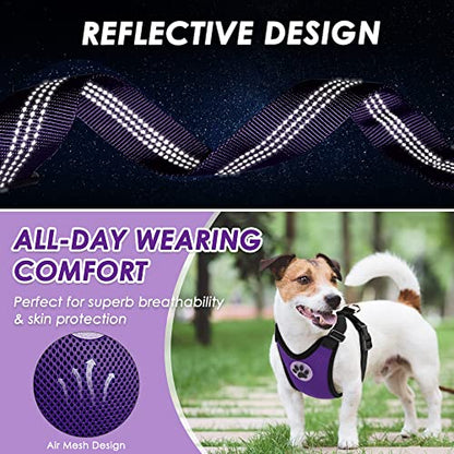 Lukovee Dog Car Harness Seat Belt, Adjustable Mesh Breathable Vest with Elastic Bungee Tether, Soft Padded 2-in-1 Safety Car Harness Seatbelt for Small Medium Large Dogs (Purple,XS) - color: Purple, size: X-Small