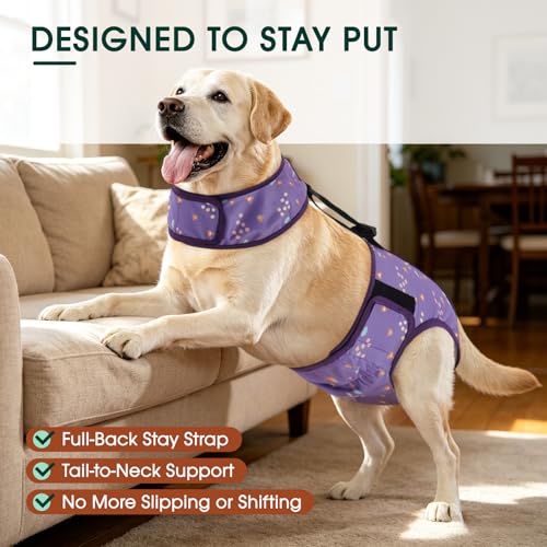 Kuoser Dog Diapers Female with Suspenders, Escape-Proof Doggie Diaper That Stay On, Washable Dog Diapers for Heat, Incontinence & Puppy Training,Reusable Puppy Diaper Female Small Medium Large Dogs, S - color: Lavender Purple, size: S
