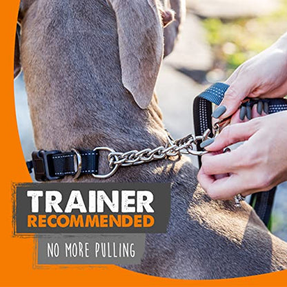 Mighty Paw Martingale Collar with Buckle | Training Dog Collar, Limited Cinch Chain Pet Gear for No Pull Dog Walking. Martingale Dog Collars for Large Dogs, Medium Breeds and Small Pets