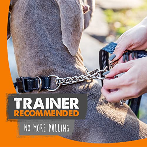 Mighty Paw Martingale Dog Collar 2.0 | Trainer Approved Limited Slip Collar with Stainless Steel Chain & Heavy Duty Buckle - Modified Cinch Collar for Gentle & Effective Pet Training - Small, Black - color: Black, size: Small