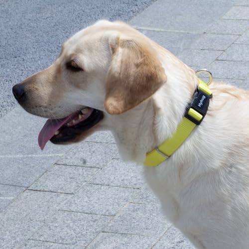 Hyhug Small Dog Collar Quick-Release Yellow| Heavy-Duty Nylon Puppy Collar, Adjustable & Durable Pet Supplies for Boy & Girl Dogs (Small, Illuminating Yellow) - color: Luminous Yellow, size: Small