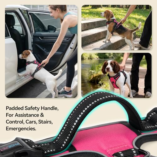 PHOEPET No Pull Dog Harnesses for Small Puppies Reflective Adjustable Front Clip Vest with 2 Metal Leash Attachment Hooks Soft Handle(S, Pink) - color: Pink, size: Small
