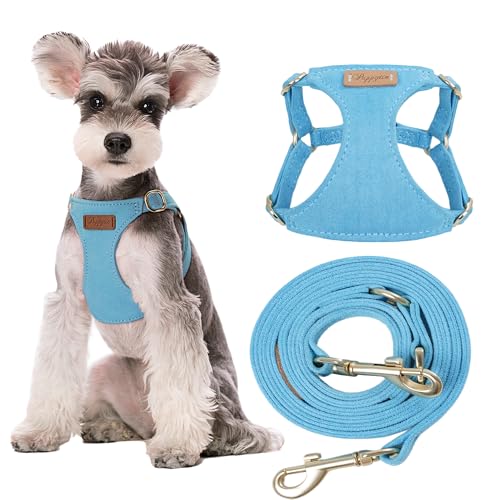 Puppytie Small Dog Harness with Multifunction Dog Leash,Lightweight Soft Adjustable No Choke Escape Proof Pet Harness Vest Pet Harness Vest,Ocean Blue,S - color: Ocean Blue, size: S(9-17.5lb）