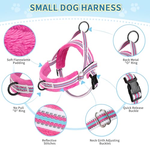 Lukovee No Pull Dog Harness and Leash Set, Soft Padded Small Dog Harness, Neck & Chest Adjustable Reflective Vest Puppy Harness with 4ft Lightweight Anti-Twist Dog Leash for Small Dogs (XXS, Fuschia) - color: Fuchsia - with Stripe, size: XXS ( Chest 11.5'