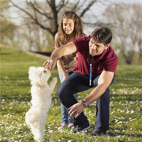6 Pack Dog Whistle with Lanyard Stop Neighbors Dog from Barking Adjustable Ultrasonic Silent Dog Whistles Professional Dog Training Whistle for Dog Daily Training - color: Colorful