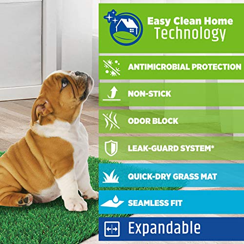 Four Paws Wee-Wee Premium Patch Indoor and Outdoor Pet Potty for Dogs l Dog Potty Training l Artificial Grass l Wee-Wee Patch (Pack of 3) - size: Medium(1 Count) (Pack of 3), style: Patch