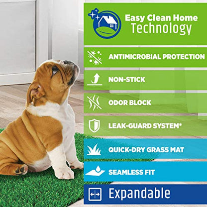 Four Paws Wee-Wee Premium Patch Indoor and Outdoor Pet Potty for Dogs l Dog Potty Training l Artificial Grass l Wee-Wee Patch - size: Medium(1 Count), style: Patch
