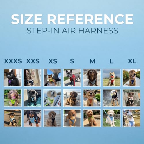 Best Pet Supplies - All Weather Mesh / Plush, Reflective, No Pull Harness for Small, Medium Dogs, Cats - Secure with Hook & Loop Fastener, Buckle, Double D-Rings - Army/Black Trim, XS - color: Harness (Army/Black Trim), size: XS (Chest: 13 - 14.5")