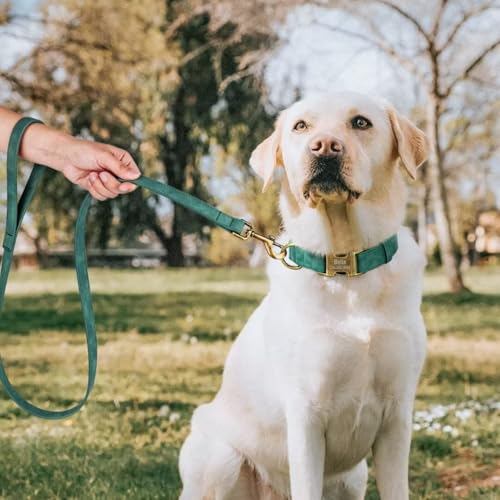 Personalized Dog Collars for Medium Dogs, Custom Soft PU Leather Dog Collar with Engraved ID Name and Number, Adjustable & Durable Pet Collars with Quick Release Metal Buckle,M(13-21") - color: Bamboo Green-Engraving, size: Medium: Fit 13-21" Neck