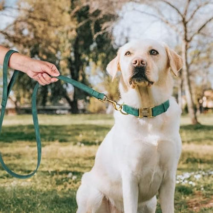 Personalized Dog Collars for Small Dogs, Custom Soft PU Leather Dog Collar with Engraved ID Name and Number, Adjustable and Durable Pet Collars with Quick Release Metal Buckle,S(10-16") - color: Bamboo Green-Engraving, size: Small: Fit 10-16" Neck