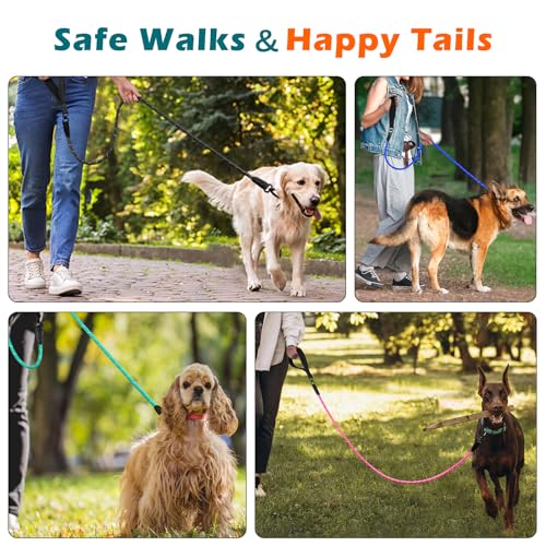 PetBonus Rope Dog Leash, 5 FT Heavy Duty Pet Nylon Leash with Auto Locking Aviation Aluminum Carabiner, Comfortable Padded Handle, Reflective Walking Training Lead for Medium Large Breeds (Turquoise) - color: Turquoise