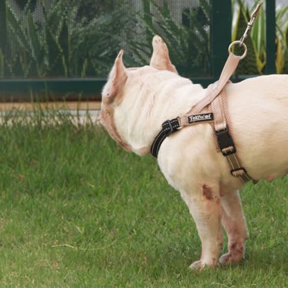 No Pull Dog Harness with Handle, Rear & Front Clip, Adjustable, Easy On/Off, Reflective, Lightweight & Mesh Padded, No Choke. Dog Harness Small Sized Dog (Beige-Black, Small) - color: Beige-Black, size: Small