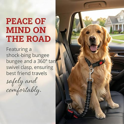 2-Pack Reflective Retractable Pet Seat Belt – Nylon Dog Tether, Adjustable Strap, Attaches to Headrest or Seat Belt – Safe for Small to Large Dogs, Fits Sedans, Trucks, SUVs (Black + Black) - color: Black + Black