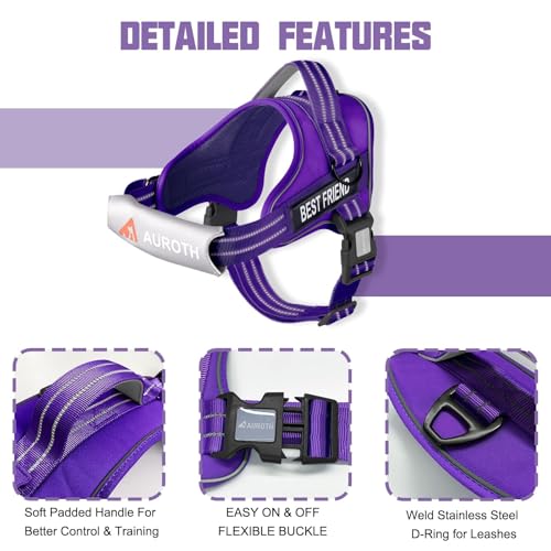 AUROTH Dog Harness and Leash Set, Soft Padded Service Dog Vest with 5.25FT Dog Leash, No Choke, Easy On Pet Vest, Adjustable Reflective No Pull Dog Harness for Large Dogs, Easy Walking and Training - color: Purple, size: Large