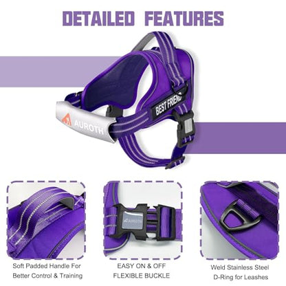 AUROTH Dog Harness and Leash Set, Soft Padded Service Dog Vest with 5.25FT Dog Leash, No Choke, Easy On Pet Vest, Adjustable Reflective No Pull Dog Harness for Large Dogs, Easy Walking and Training - color: Purple, size: Large
