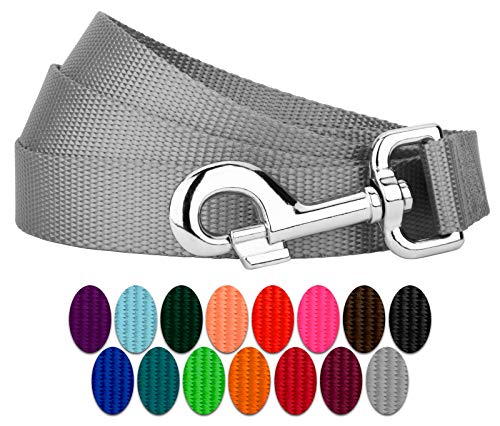 Country Brook Petz - Vibrant 17 Color Selection - Heavyduty Doublehandle Nylon Leash (6 Foot, 3/4 Inch Wide, Silver) - color: Silver