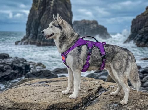 Tuff Pupper Escape Proof No Escape Dog Harness | 5 Point Adjustable Fit Harness for Dogs | Padded Dog Harnesses | Handle Dog Lift Harnesses - color: Purple, size: Medium: 22-27 Inch Chest