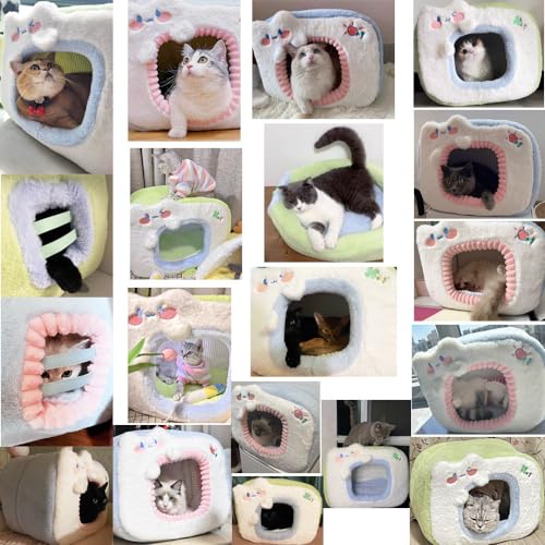 Cute Cat Bed for Indoor,Cute Cat House Tent Covered Dog Bed Tent with Removable Washable Cushioned Pillow, Cat Cave,Dog Bed with Cover Cave, Pet Bed… (F)