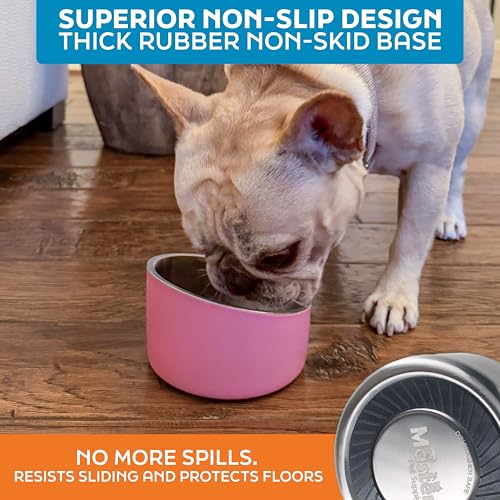 Master Pet Supply Stainless Steel Slanted Dog Cat Food Bowl - 8 oz Heavy Duty - Stainless Steel, Double Wall Insulated, Non-Slip Elevated Bowl for French Bulldogs Pugs Cats, Anti Rust Dishwasher Safe - color: Stainless Steel, size: 1 Cup (8 oz)