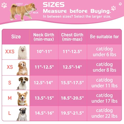 Soft Mesh Dog Harness and Leash Set, No Pull Puppy Harness and Leash Set, Reflective Step in Harness for Small Medium Dogs, Easy Walk Escape Proof Vest Harnesses (Rose Red, XS) - color: Rose Red, size: XS