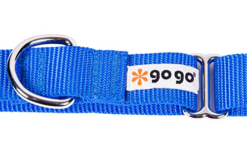 GOGO Pet Products 5/8-Inch Martingale Dog Collar, Small, Blue - color: Blue, size: Small (5/8" web width)