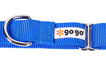 GOGO Pet Products 5/8-Inch Martingale Dog Collar, Small, Blue - color: Blue, size: Small (5/8" web width)