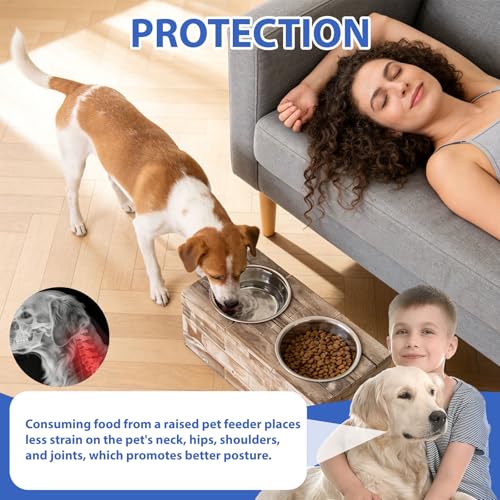 Huntley Equestrian Pet Elevated Dog and Cat Double Bowl Feeder Stainless Steel Bowls (Berjen, Large), Tan, Model:02141 - size: Large