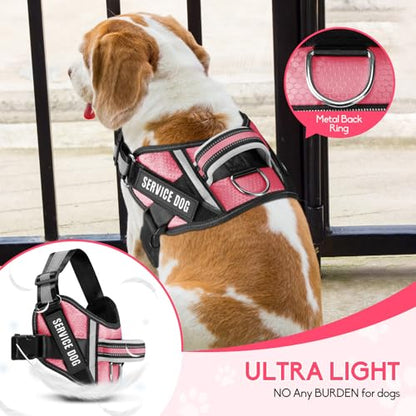 Service Dog Vest Harness and Leash Set, Animire in Training Dog Harness with 10 Dog Patches, Reflective Dog Leash with Soft Padded Handle for Small, Medium, Large, and Extra-Large Dogs (Rosy,XS) - color: Rosy, size: XS