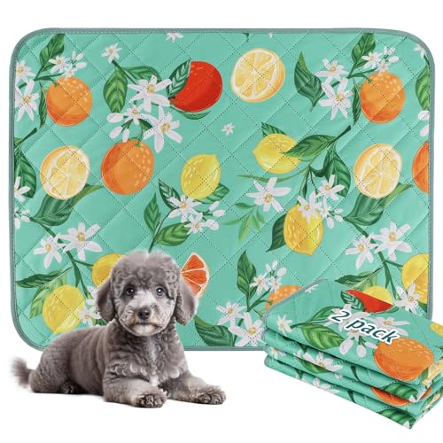 BVAGSS Washable Pee Pads for Dogs, 2 Pack Reusable Leakproof Puppy Wee Wee Pad, Non-Slip Waterproof Pet Training Pads, Super Absorbent Whelping Pads XH081 (Green Lemon, 24X18 Inch (Pack of 2)) - color: Green Lemon, size: 24X18 Inch (Pack of 2)