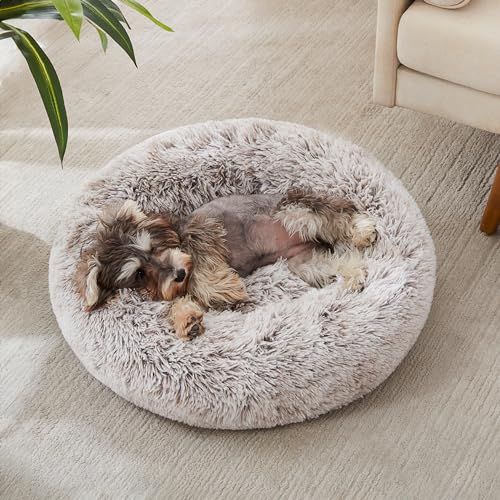 WESTERN HOME WH Calming Dog & Cat Donut Cuddler, Anti-Anxiety Warming Cozy Soft Round Bed, Fluffy Faux Fur Plush Cushion for Small Medium Dogs and Cats (20"/24"/27"/30") - color: White Khaki, size: 24.0"l x 24.0"w x 7.0"th