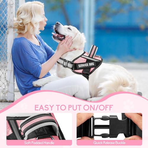 Service Dog Vest Harness and Leash Set, Animire in Training Dog Harness with 10 Dog Patches, Reflective Dog Leash with Soft Padded Handle for Small, Medium, Large, and Extra-Large Dogs(Pink,S) - color: Pink, size: S