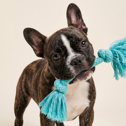 Playology Dog Toys | Dri-Tech Rope Tug of War Dog Toy for Tough Chewers | Peanut Butter Scented Small Tug Rope Toys for Dogs - size: Small, style: Peanut Butter