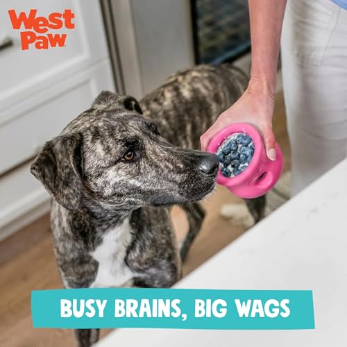 WEST PAW Zogoflex Toppl Interactive Treat Dispensing Puzzle Dog Toy for Mental Stimulation & Enrichment-Holds Kibble & Treats-Lickable, Freezable & Dishwasher Safe-Made in USA-Large-Teal - color: Teal, size: Large