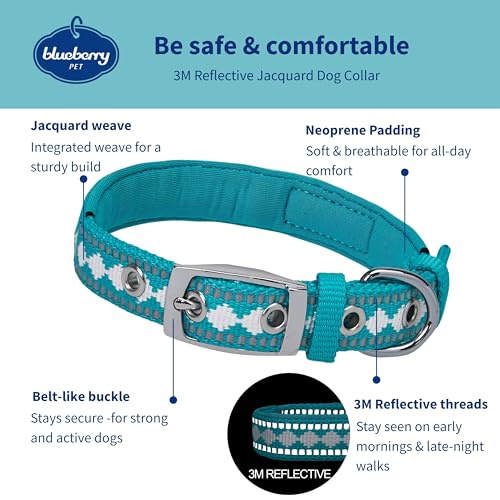 Blueberry Pet Reflective Jacquard Dog Collar with Neoprene Padding & Metal Buckle | Soft & Adjustable Safety Collar - Peacock, Neck 9-12.5", for Small Breed - color: Metal Buckle-Peacock, size: Small