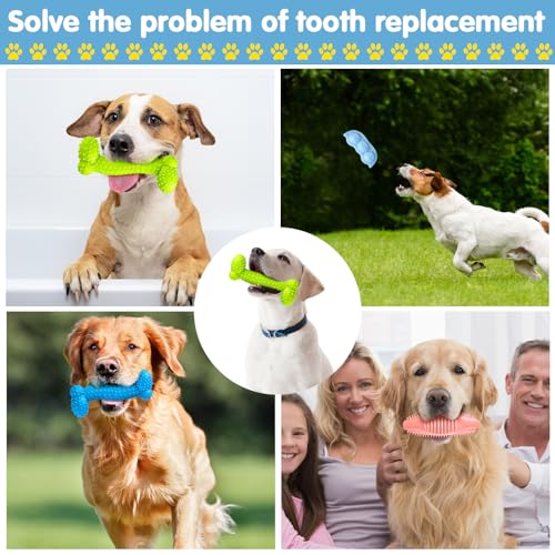 Skylety 6 Pcs Puppy Teething Chew Toys Rubber Bones Shaped Cute Dog Pet Small Dog Toys for 2-8 Months Small Dogs Cleaning Relieving Itching(Blue, Pink, Yellow Green) - color: Blue, Pink, Yellow Green