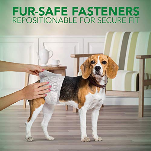 Vet's Best Vet’s Best Comfort Fit Disposable Male Dog Diapers | Absorbent Male Wraps with Leak Proof Fit | Large, 12 Count - size: Large, style: 12 count
