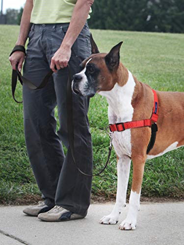 Petsafe Deluxe Easy Walk Harness, Large, Rose Pink, EWH-D-HC-L-RSE - color: Rose Red, size: Large (Pack of 1)