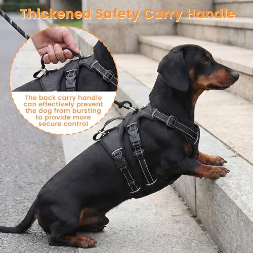 Escape Proof Dog Harness and Leash Set,Soft Padded Full Body Pet Harness, No Pull Reflective Adjustable Dog Vest with Handle, Easy Control Dog Harness for Medium Large Dogs Training Walking Running - color: Black, size: M