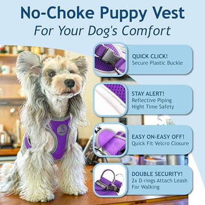 Kruz Dog Harness (Chest 13.5"-14", Weight 4–6 lbs) Athletica Adjustable Heavy Duty No Choke Puppy Vest for Small Dogs Lightweight Air Mesh, Reflective, Puppy Essentials – Amethyst, X-Small - color: Amethyst, size: X-Small