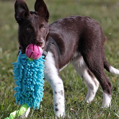 Dingo Dog Tug Toy and TPR Rubber Ball with Bungee Handle, Microfiber, Blue - color: Blue
