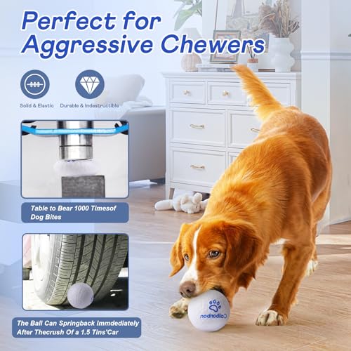 Durable Dog Herding Balls – ETPU Interactive Bouncy Fetch Balls for Small & Medium Dogs – Lightweight, High-Rebound Dog Toys for Puppies - color: 2 Balls