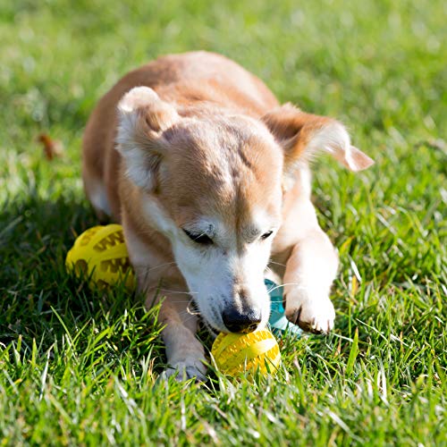 Youngever 2 Pack Dog Ball Toys for Pet Tooth Cleaning, Chewing, Fetching, Treat Ball Food Dispensing Toys (Small 2 Inch) - size: Small 2 inch